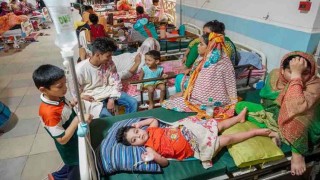 32 new dengue patients hospitalized in 24 hrs