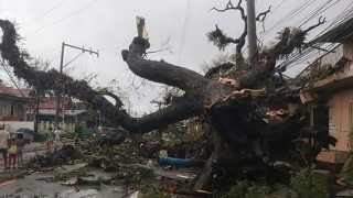 75 reported dead in Philippines typhoon