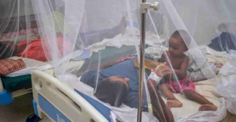 35 new dengue patients hospitalized in 24hrs