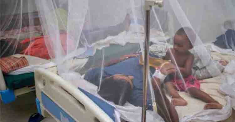 129 more dengue patients hospitalized in 24 hrs