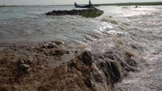 সুনামগঞ্জে বাঘার বাঁধ ভেঙে হাওরে পানি, তলিয়ে যাচ্ছে ফসলের জমি