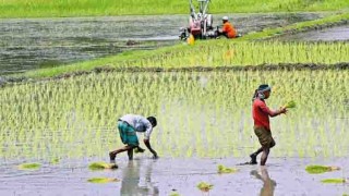 2 farmers arrested for load shedding protest in Rajshahi