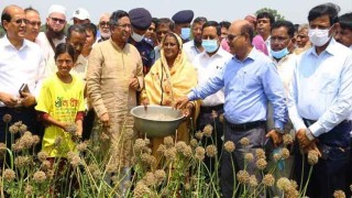 পেঁয়াজবীজ চাষিদের ঋণ দেওয়া হবে: কৃষিমন্ত্রী