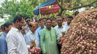 পেঁয়াজে শুধু স্বয়ংসম্পূর্ণতা নয় রপ্তানিও করতে পারব: কৃষিমন্ত্রী