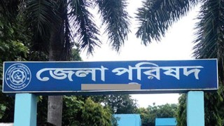 দলীয় নেতারাই হচ্ছেন জেলা পরিষদের প্রশাসক!