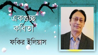 সমুদ্রতীরে ছায়ামিছিল