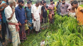 শেরপুরে অজ্ঞাত ব্যক্তির মরদেহ উদ্ধার