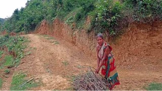 শিক্ষা-স্বাস্থ্য-যোগাযোগে পিছিয়ে জামালপুরের পাহাড়ি জনপদ