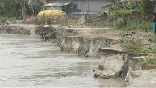 কুড়িগ্রামে অসময়ে তিস্তার ভাঙন, দিশেহারা মানুষ