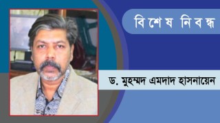 নান্দনিক শৈল্পিক পুরাকীর্তির নিদর্শন ঘোলদাড়ী প্রাচীন মসজিদ