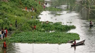 নেত্রকোনায় নদীতে ভেসে উঠছে মরা মাছ