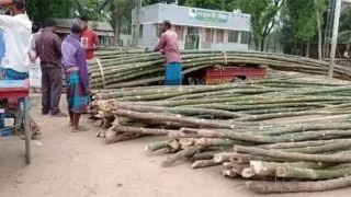 স্টেডিয়ামে বাঁশের হাট, নীরব মেয়র