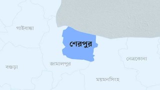 শেরপুরে অপহরণের ১০ দিন পর স্কুলছাত্রী উদ্ধার