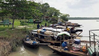 পূর্ব সুন্দরবনে মধু আহরণ শুরু