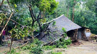 5 killed in Sunamganj in storm, lightning