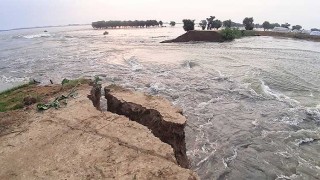 সুনামগঞ্জে মধ্যরাতে বাঁধ ভেঙে তলিয়ে গেল ফসল