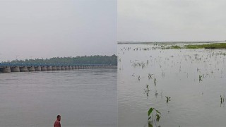 অসময়ে তিস্তার পানি বৃদ্ধি, দুশ্চিন্তায় কৃষক