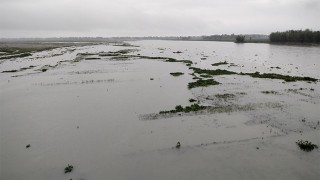 ভূরুঙ্গামারীতে টানা বৃষ্টি, তলিয়ে গেছে কৃষকের স্বপ্ন