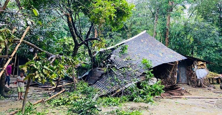 5 killed in Sunamganj in storm, lightning