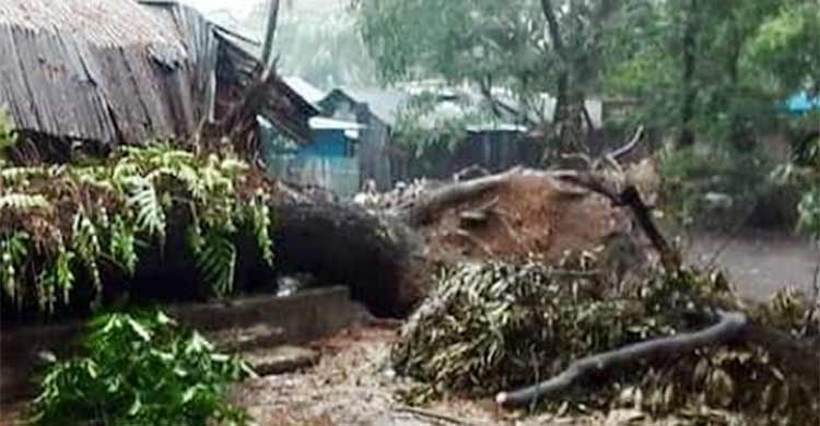 বরিশালে কালবৈশাখী কেড়ে নিলো শ্বশুর-পুত্রবধূর প্রাণ