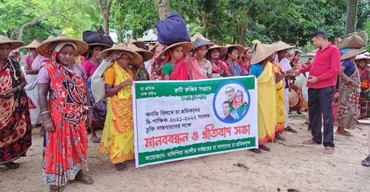 বেতন বৃদ্ধির দাবিতে দেশব্যাপী চা-শ্রমিকদের কর্মবিরতি