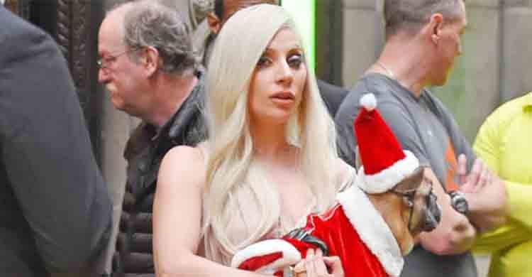 Lady Gaga dog robber sentenced to four years in US jail