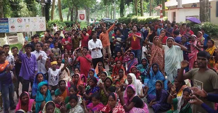 Tea garden workers block road in Sylhet over wage hike demand