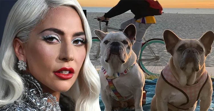 Second Lady Gaga dog-napper jailed