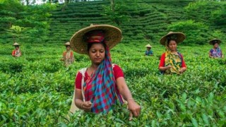 ১৪ বছরে মজুরি বেড়েছে সাড়ে ৮৭ টাকা