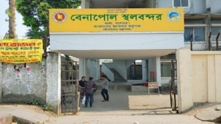 ভারতে এই প্রথম রপ্তানি হলো পাঙ্গাসের রেনু