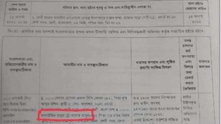 ফেনীতে ছাত্রলীগ-ছাত্রদলের সংঘর্ষের ঘটনায় ২২৪ জনের বিরুদ্ধে মামলা