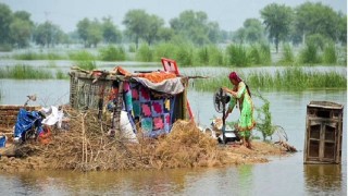 পাকিস্তানে বন্যায় ক্ষয়ক্ষতির পরিমাণ ১০ বিলিয়ন ছাড়িয়েছে