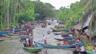 দাম না পেয়ে হতাশ চাষিরা