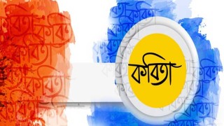 কবিতা: অভিবাসনের পোকা