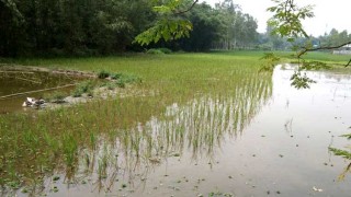 জমি দখলের প্রতিবাদ করায় মারধর, থানায় অভিযোগ