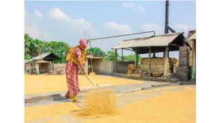 সেতু নেবে ১৭১ অফিসার