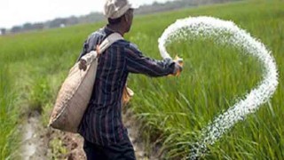 Urea fertilizer price hiked by Tk 6 per kg