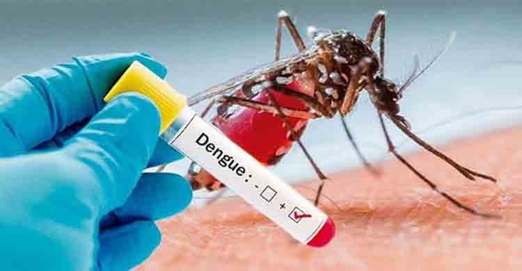 Dengue: two patients die, 65 hospitalized in 24 hrs