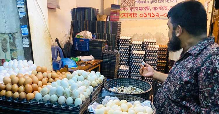 রাত ১০ টার পর সিন্ডিকেটে নির্ধারিত হয় ডিমের দাম