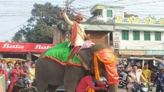 বাবার ইচ্ছা পূরণে হাতিতে চড়ে বিয়ে