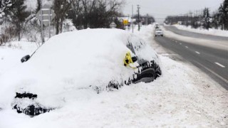 'Blizzard of the century' leaves nearly 50 dead across US