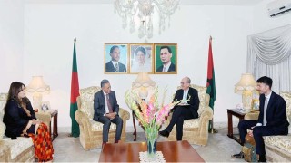 German envoy meets BNP leader Amir Khosru