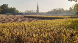 কুড়িগ্রামে ৯০ অবৈধ ইটভাটা, স্বাস্থ্যঝুঁকিতে শতশত পরিবার