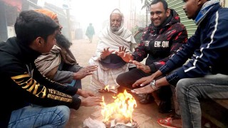 ঘন কুয়াশার চাদরে ঢাকা নওগাঁর জনপদ