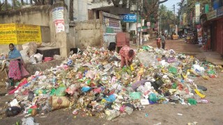 ব্রাহ্মণবাড়িয়া পৌর শহরে আবর্জনার দুর্গন্ধে লাখো মানুষের জীবন দুর্বিষহ