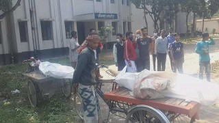 চুয়াডাঙ্গায় ভুট্টাক্ষেতে দুই বৃদ্ধের মরদেহ