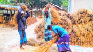 বোরোর আগে কমবে না চালের দাম