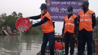 বিষখালীতে ১০ কোটি ফাইস্যা পোনা অবমুক্ত, ১০ জেলে আটক