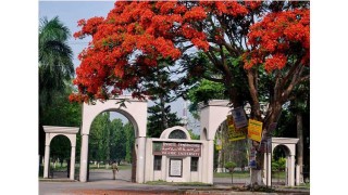 ইসলামী বিশ্ববিদ্যালয়ের ভেতরে বহিরাগতরা চুরি, মাদক সেবন করছে