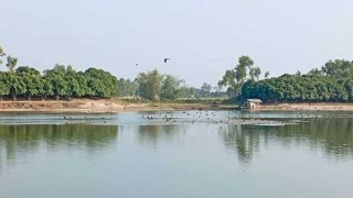 শীত বিদায় নিলেও রামরায় দিঘিতে এখনো অতিথি পাখির মেলা